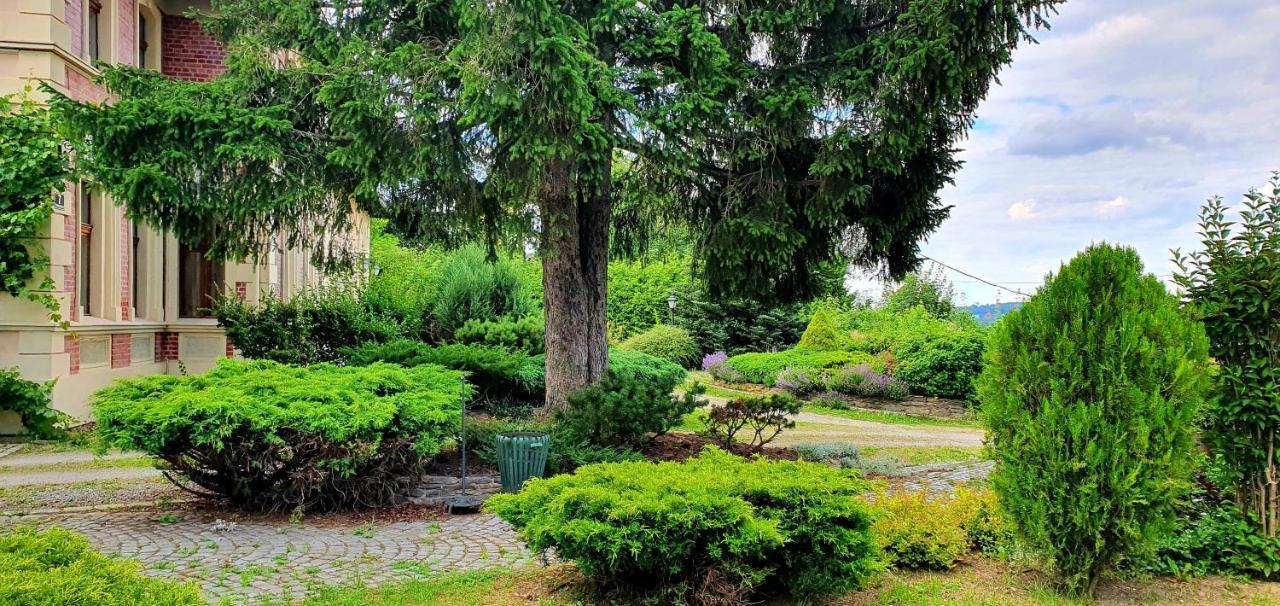 Villa Kliche Przerzeczyn-Zdroj 外观 照片