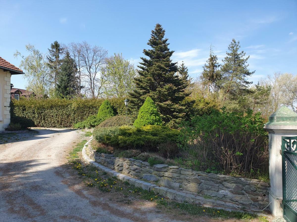 Villa Kliche Przerzeczyn-Zdroj 外观 照片