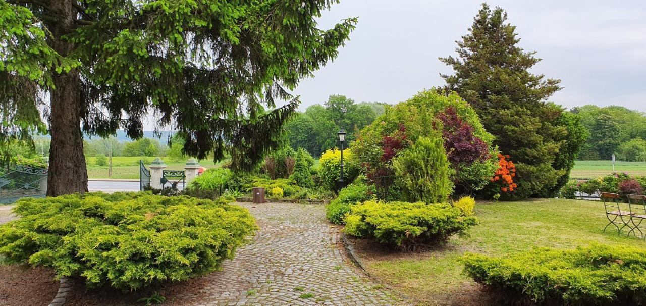Villa Kliche Przerzeczyn-Zdroj 外观 照片